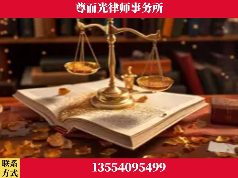 龙山-刑事诉讼律师