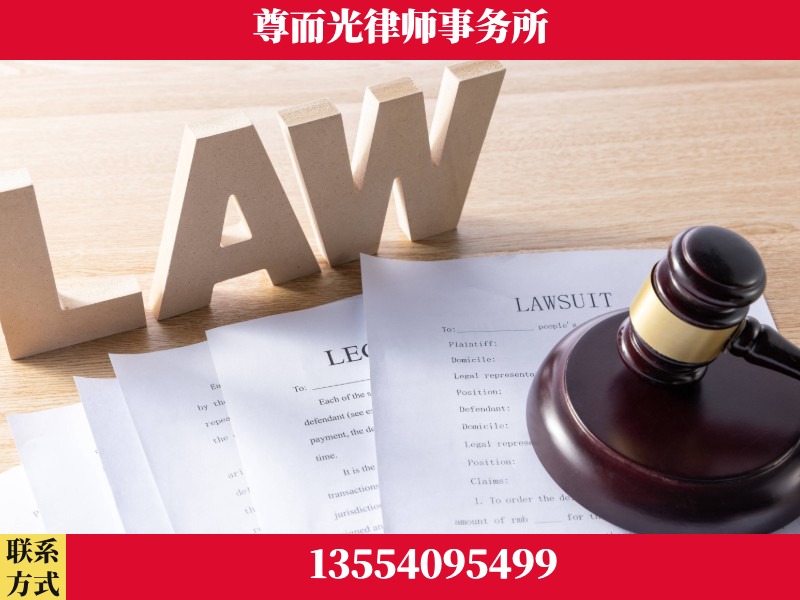 龙山-"法律 + 新媒体" 融合创新